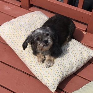 Meet your Posher, Maita